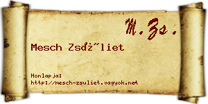 Mesch Zsüliet névjegykártya